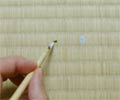 畳の焦げた部分に白を塗る