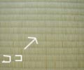 畳の補修修了