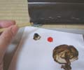 家具の補修3(絵の具と保護ニスを混ぜて色を塗ってみます。)