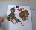 家具の補修5(色がうすいので足してみます)